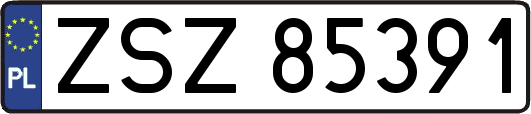 ZSZ85391