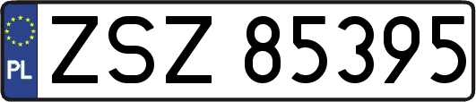 ZSZ85395