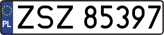 ZSZ85397