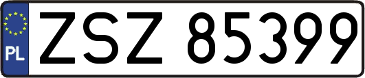 ZSZ85399