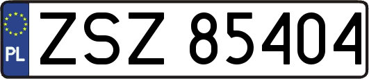 ZSZ85404