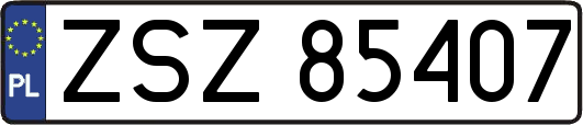 ZSZ85407