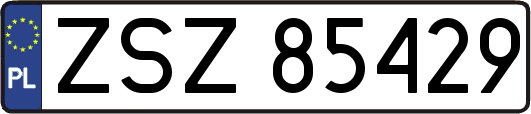 ZSZ85429