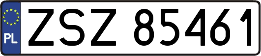 ZSZ85461