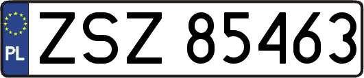 ZSZ85463