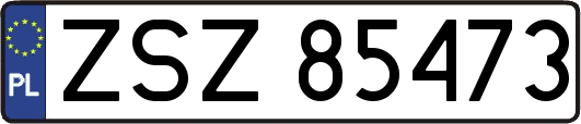 ZSZ85473
