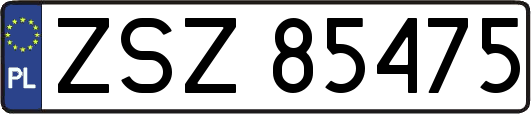 ZSZ85475
