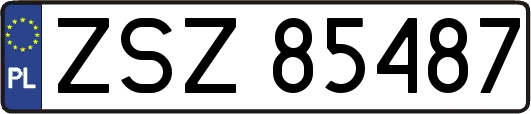 ZSZ85487