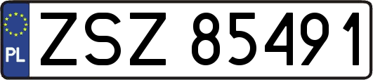 ZSZ85491