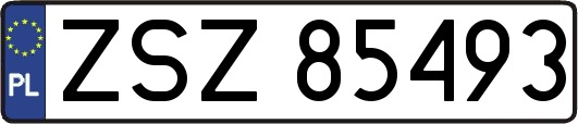 ZSZ85493
