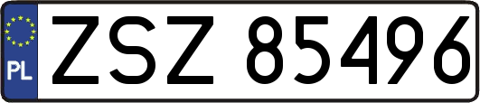 ZSZ85496