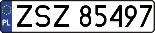 ZSZ85497