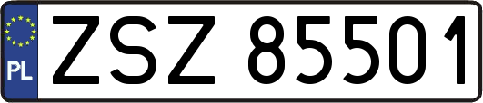 ZSZ85501