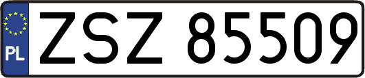 ZSZ85509