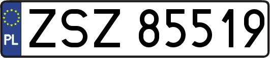 ZSZ85519