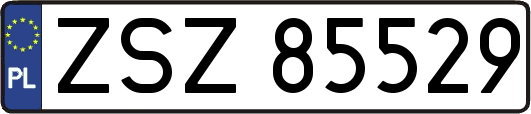 ZSZ85529