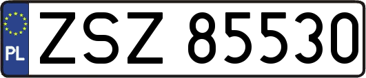 ZSZ85530