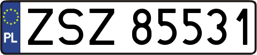 ZSZ85531