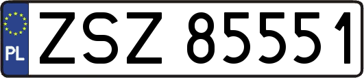 ZSZ85551
