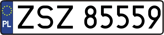 ZSZ85559