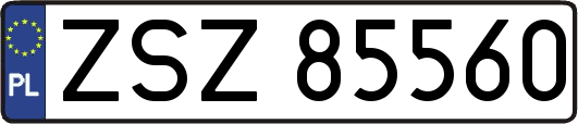 ZSZ85560