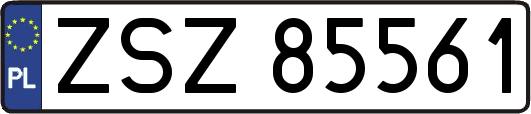 ZSZ85561
