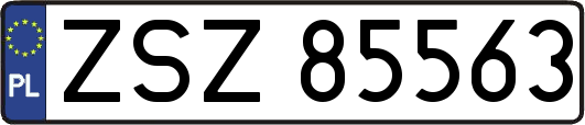 ZSZ85563