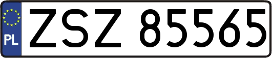 ZSZ85565