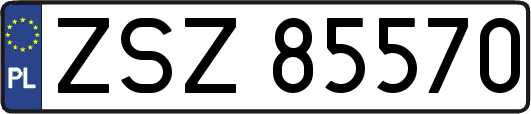 ZSZ85570