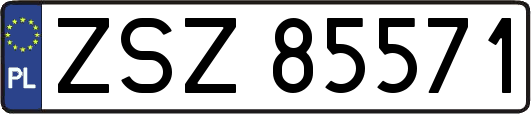 ZSZ85571