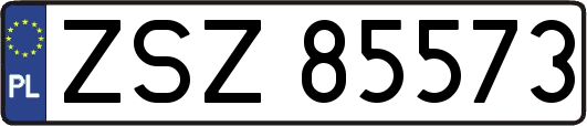 ZSZ85573