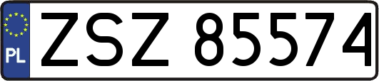 ZSZ85574
