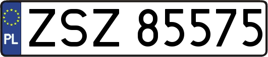 ZSZ85575