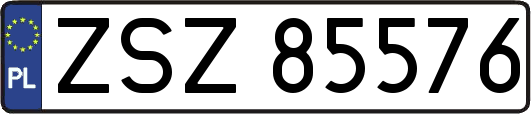 ZSZ85576