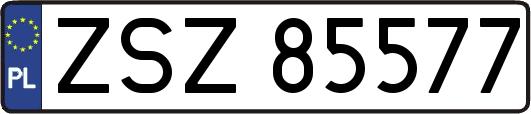 ZSZ85577