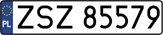 ZSZ85579
