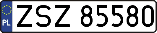 ZSZ85580