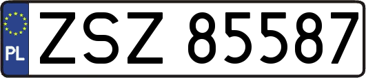 ZSZ85587