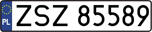 ZSZ85589
