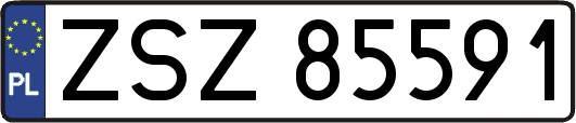 ZSZ85591