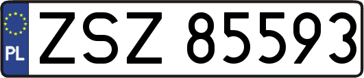 ZSZ85593