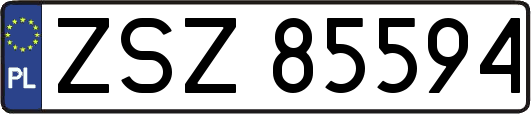 ZSZ85594