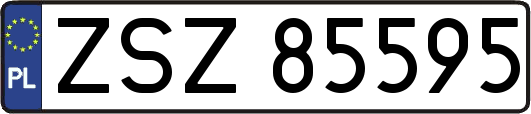 ZSZ85595