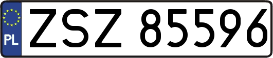 ZSZ85596