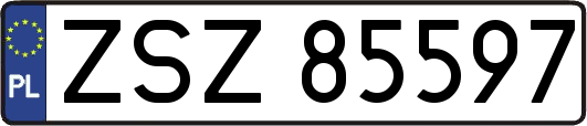 ZSZ85597