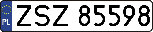 ZSZ85598