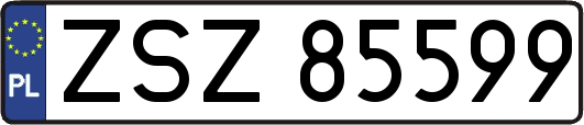 ZSZ85599