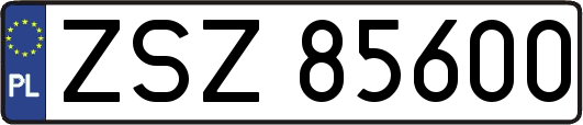 ZSZ85600
