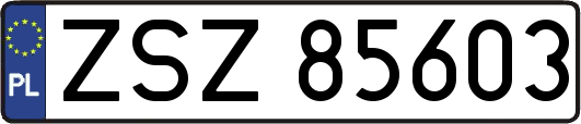 ZSZ85603