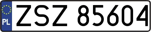ZSZ85604